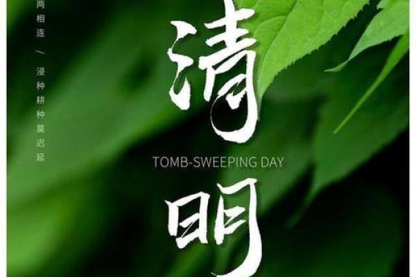 清明节5号还可以上坟不