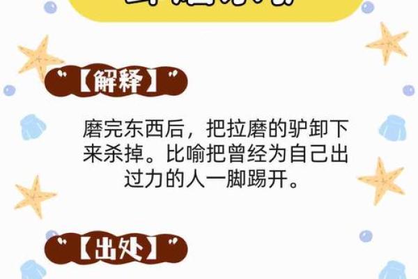 患难与共指什么生肖
