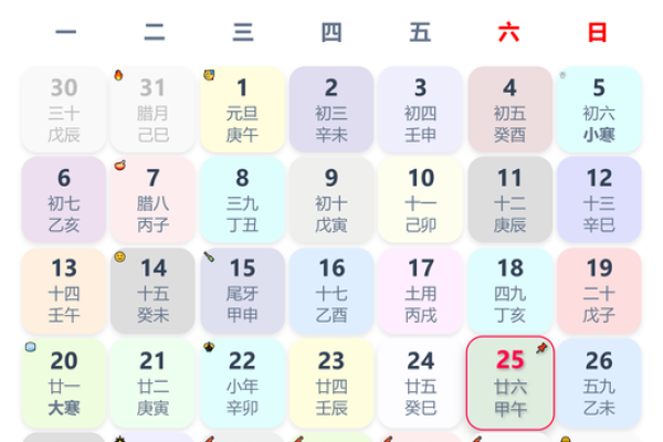 2025年1月30号出生的宝宝属什么