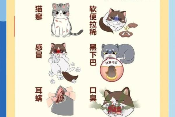 “手足无措”打一动物生肖，手忙脚乱打一动物答案解释释义落实