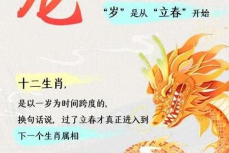 属龙2025年全年运势运程 属龙2025全年运势全解析逐月运程吉凶详解