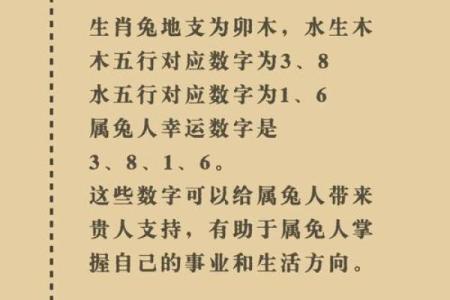 佛光普照是什么生肖(佛光普照是什么生肖和数字7)