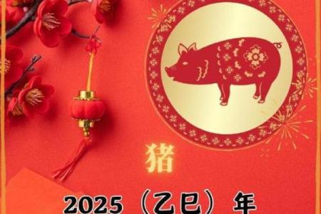 2025属猪人 2025属猪人运势解析财运事业爱情全攻略