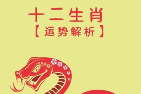 属兔人2025年全年运势及运程 1975属兔人2025年全年运势及运程
