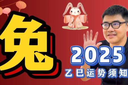 1963年属兔的2025年运势 1963年属兔2025年运势解析财运健康感情全预测