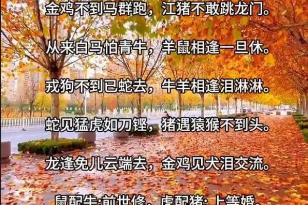 90年属马的正缘_2023年农历十月90年属马人正缘婚恋运势解析