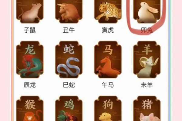 属兔跟属龙的姻缘怎么样 属兔与属龙姻缘解析生肖配对是否幸福美满