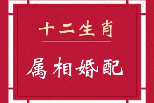 男猴女鸡2020年结婚最好的日子(男猴女鸡合婚不)