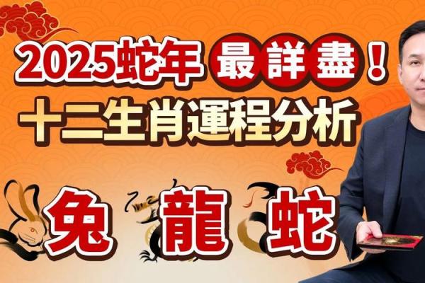 “南北通道交通忙”指什么生肖，南北通商是什么动物答案解释释义落实