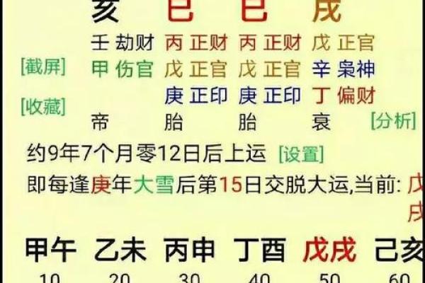 生辰八字查询免费查询_生辰八字测算免费查询
