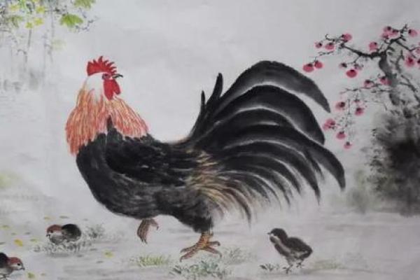 2005属鸡几岁遇真爱 2005属鸡几岁遇真爱揭秘最佳恋爱年龄