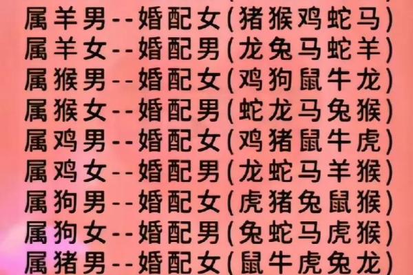 1997属牛和2002属马结婚结局_97男马02女马婚配最好