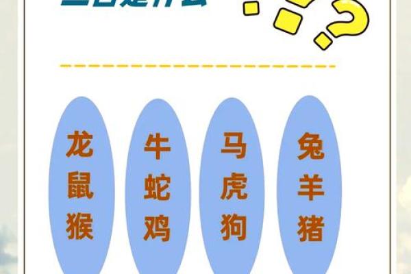 “三皇五帝”打一最佳准确生肖，三皇五帝是指什么生肖答案解释释义落实