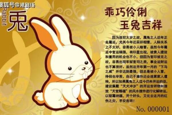 属兔2025年是什么年(1975属兔50岁以后运气如何)