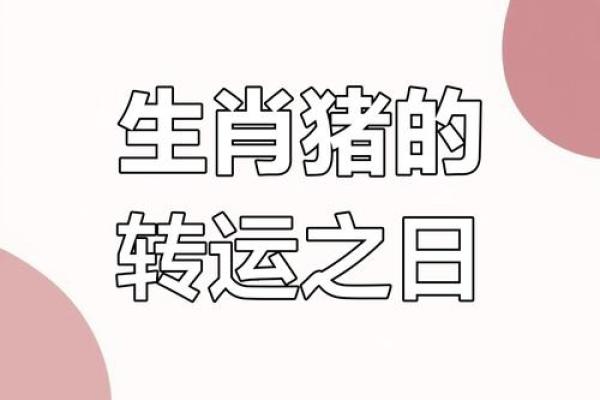 猪肖2025年运程_2025年猪肖运程详解财运事业爱情全面解析