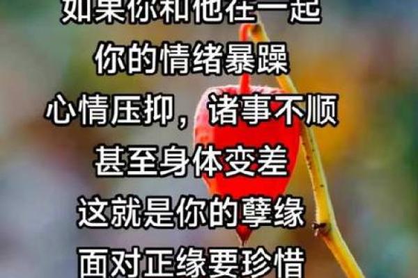 孽缘也是一种缘分 孽缘也是一种缘分解读命运中的特殊相遇 孽缘也是一种缘分 孽缘也是一种缘分解读命运中的特殊相遇