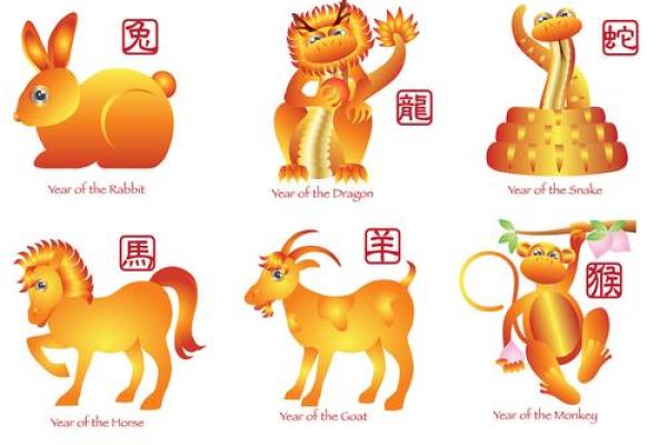 眼大肚小是什么生肖(眼大肚小是什么生肖和数字)