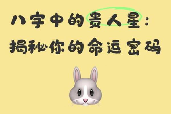 免费八字测试_免费八字测试揭秘你的命运密码