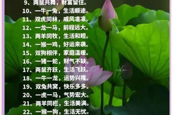 “听其自流”是代表哪个生肖，听其自流是什么生肖答案解释释义落实