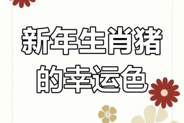 2025年属猪幸运色指南穿对颜色好运连连