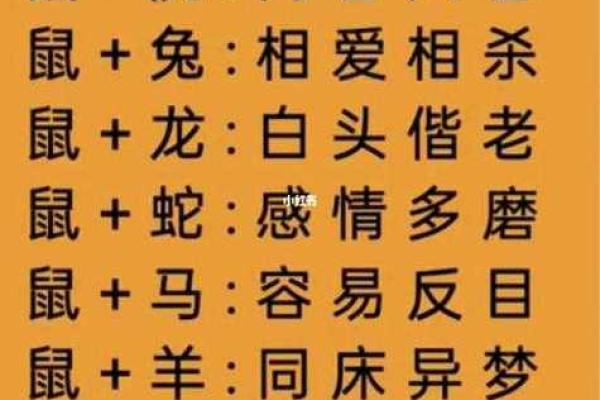 三从四德是什么生肖