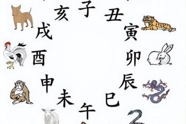 揭不开锅是什么生肖