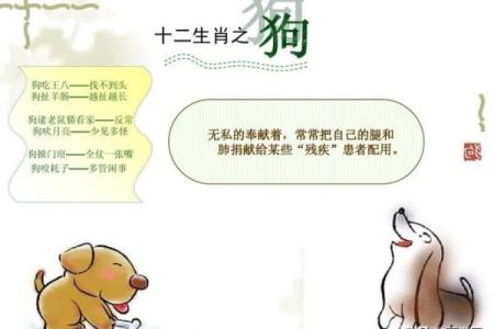 嘴多舌长是什么生肖(嘴多舌长是什么动物)