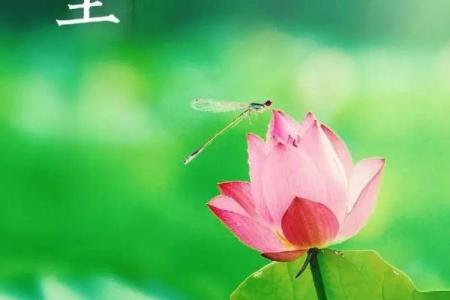 2021年夏至是几点几分