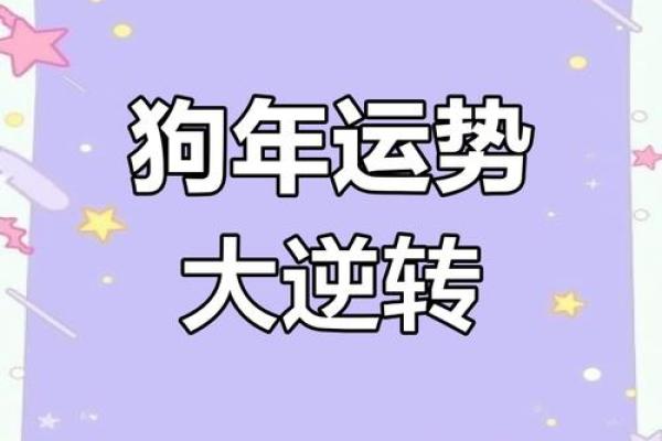2025年属狗人高考运势_2023年属狗的高考运势