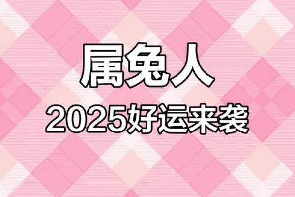 属兔的2025年有多大_2025年兔子