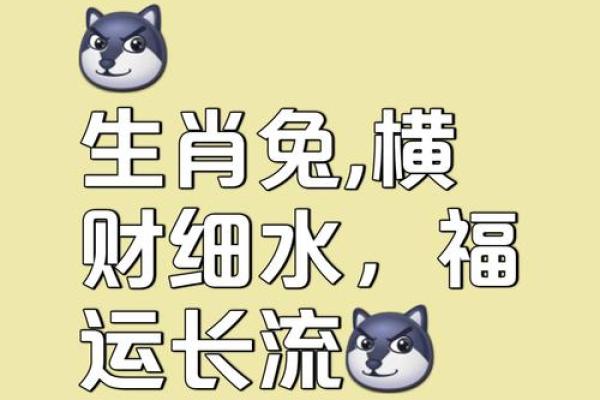 属兔人2025年3月开业黄道吉日