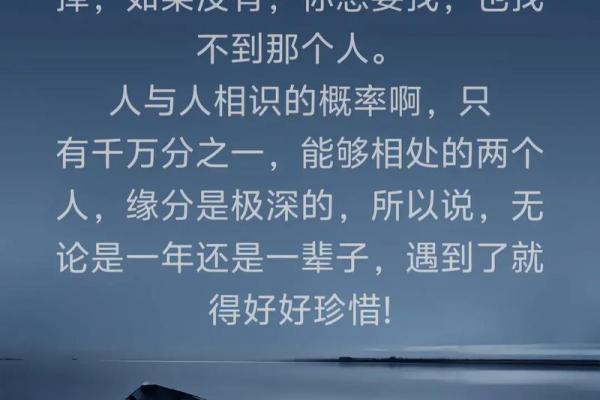 缘分让我们相遇相识一段奇妙的人生旅程