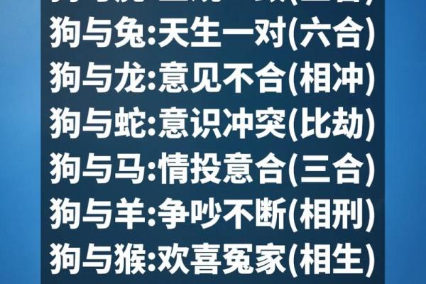 帮狗吃食是什么生肖(帮狗吃食是什么生肖动物)