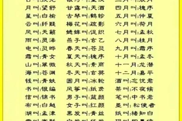 生辰八字详批详解_生辰八字详批详解揭秘命运密码与人生运势