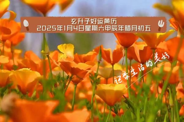 2025年1月1号生的孩子属什么