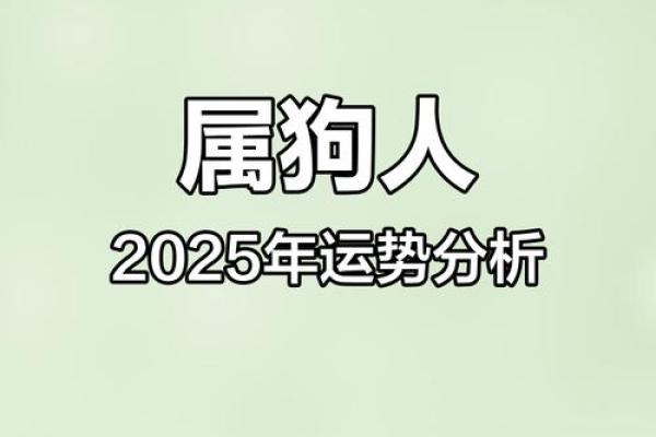2025年属狗的财运和运气如何 属狗2025年运势及运程每月运程狗
