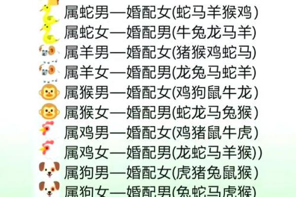 2002属马最佳结婚属相_02属马男人最佳妻子