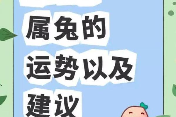 2025年属兔运势详解1975年生人运程全解析