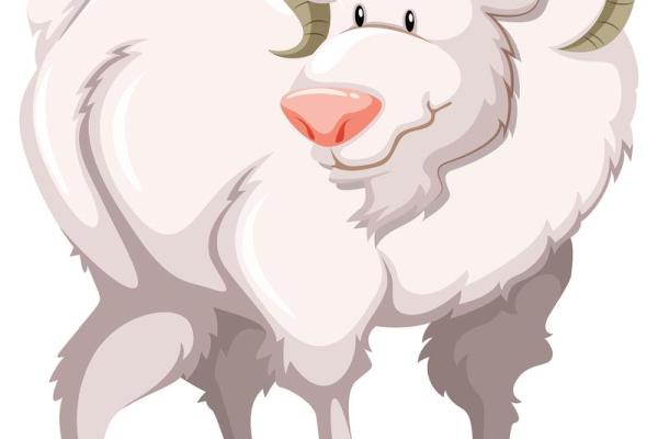 伯乐相马是什么生肖