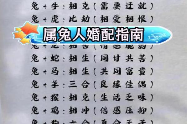 1987年已婚属兔女2025年_1987年已婚属兔女2025年运势解析与婚姻指南