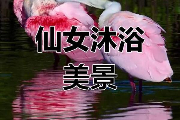 初一可以洗澡嘛吗