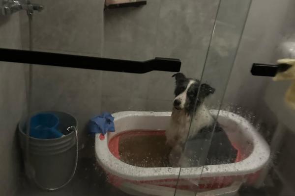 初一可以洗澡嘛吗