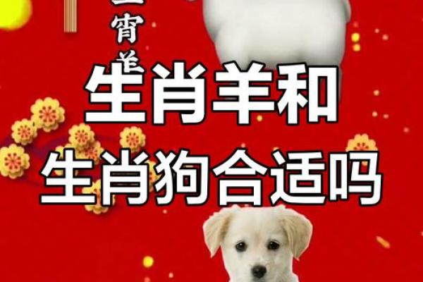 属羊跟属蛇的姻缘怎么样 属羊与属蛇的姻缘解析缘分深浅与相处之道