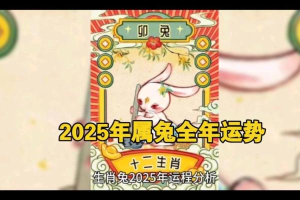 1999年属兔的人2025年运势及运程_1999年的兔在2022年的运势