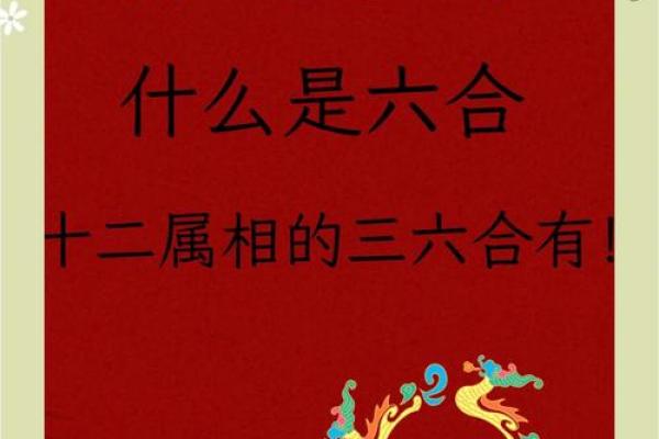 “三妻四妾”打一最佳准确生肖，三妻四妾是什么生肖答案解释释义落实