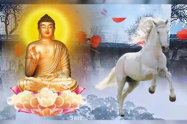 1966年7月属马的是什么命 66年7月属马人的命运 1966年7月属马的是什么命 66年7月属马人的命运