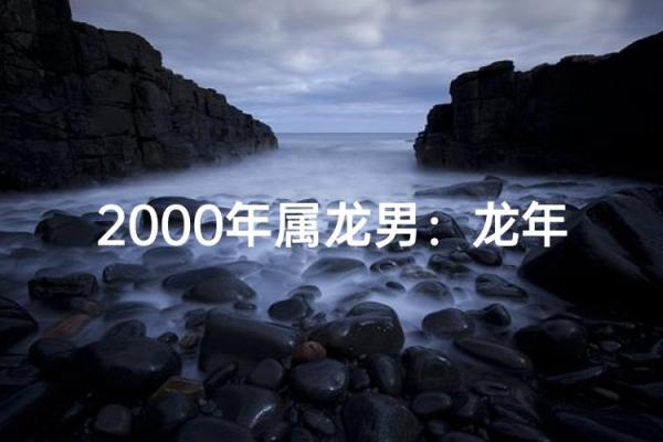 2000年属龙的人命运如何 2000年属龙人农历十月命运解析龙年出生者运势走向全透视