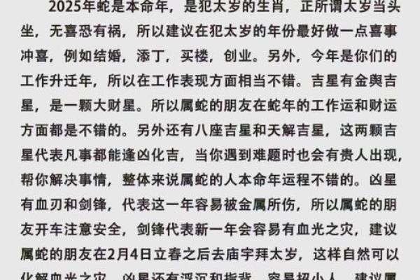 生肖鼠2025年运势及运程 生肖鼠2025年运势及运程