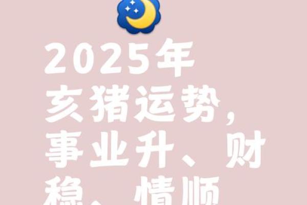2025年2007年属猪的高考运气_2025年属猪高考运势解析2007年出生者运气如何