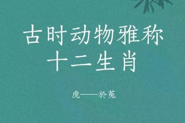 “肥田沃地”打一准确动物生肖，肥田沃地打一正确生肖答案解释释义落实
